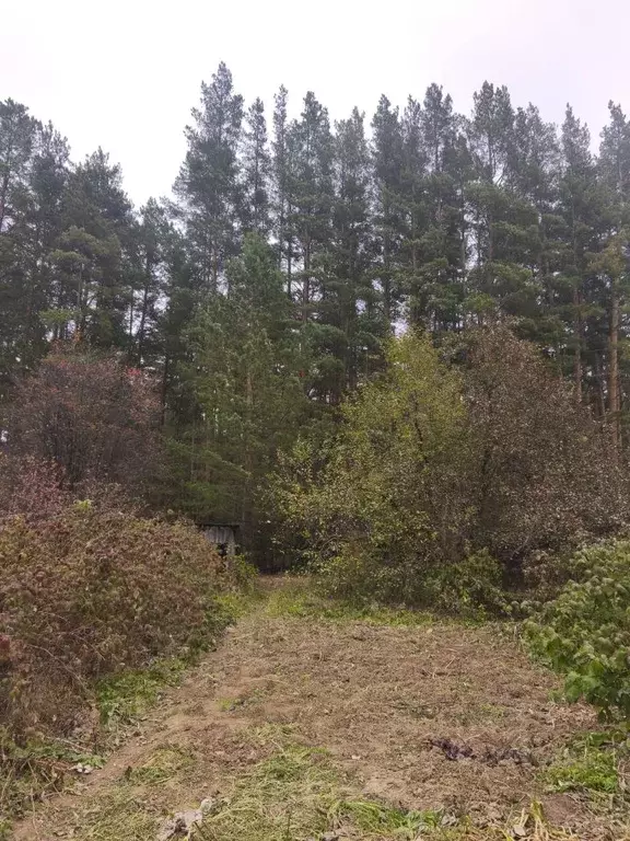 Участок в Свердловская область, Сысертский муниципальный округ, ... - Фото 1