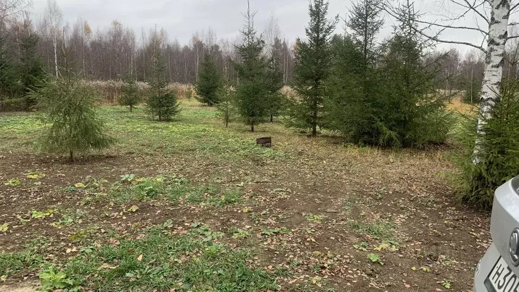 Участок, 6 сот., поселения (ижс) - Фото 1