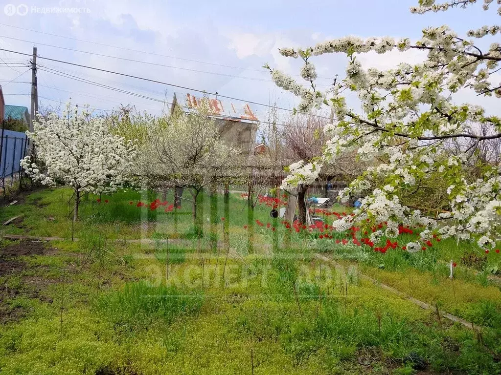 Участок в Таганрог, садовое товарищество Омега, 206 (6.34 м) - Фото 1