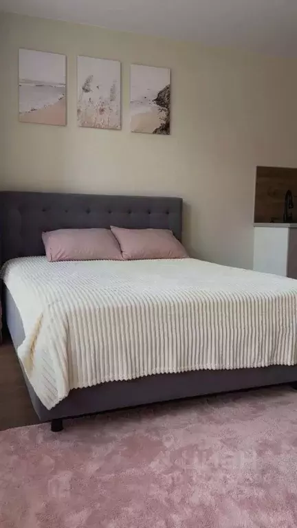 Студия Краснодарский край, Краснодар ул. Ивана Беличенко, 92 (27.6 м) - Фото 2