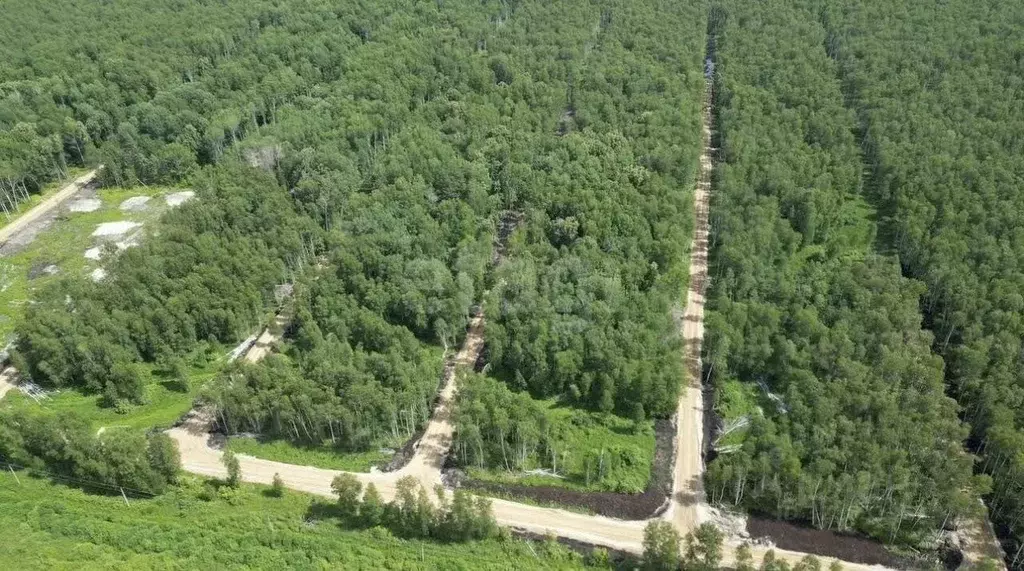 Участок в Тюменская область, Нижнетавдинский муниципальный округ, ... - Фото 1