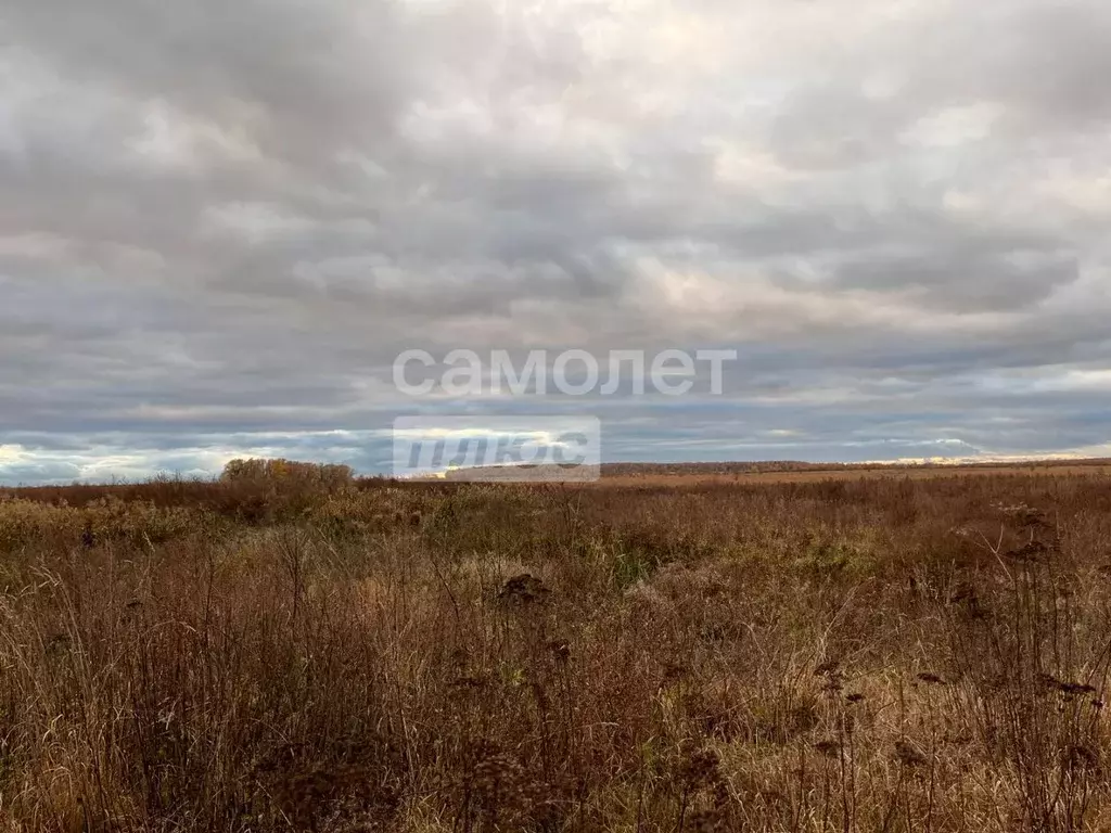 Участок в Московская область, Раменский городской округ, с. ... - Фото 1