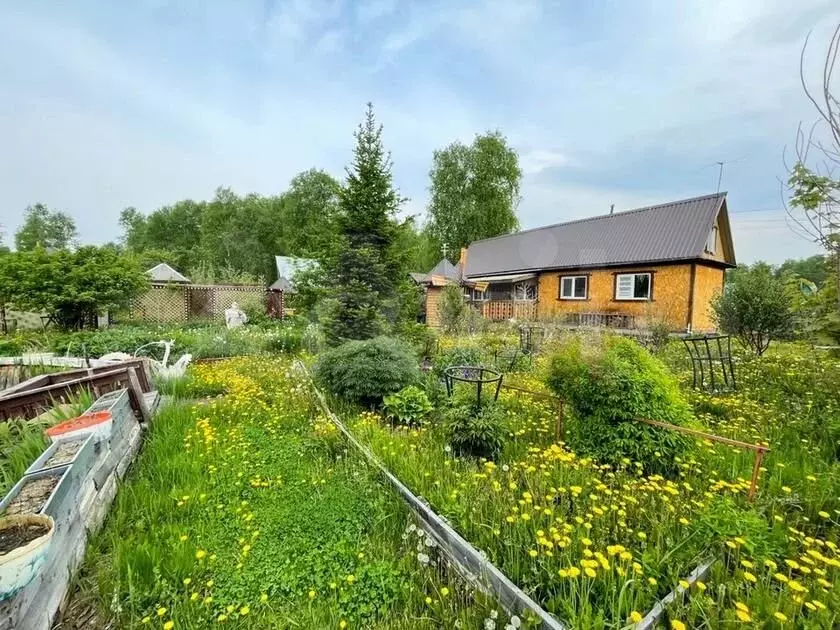 Купить Дачу В Снт Водник Омск