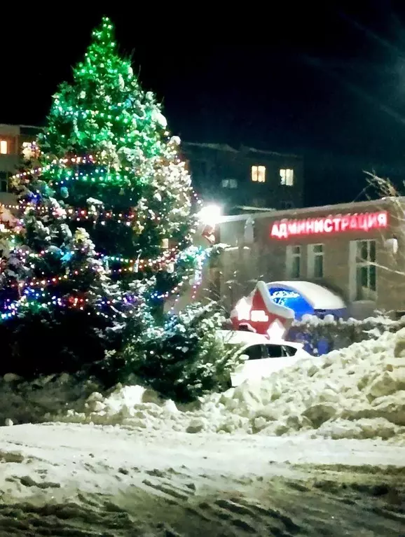 3-к кв. Пермский край, Пермский муниципальный округ, д. Песьянка ул. ... - Фото 2