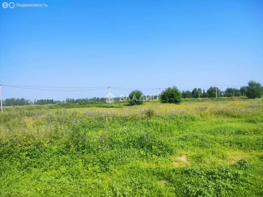 Участок в Марфино, деревня Шаньково (13 м) - Фото 1
