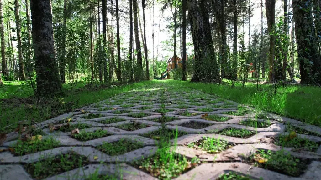 Участок в Московская область, Мытищи городской округ, д. Фелисово, ... - Фото 2