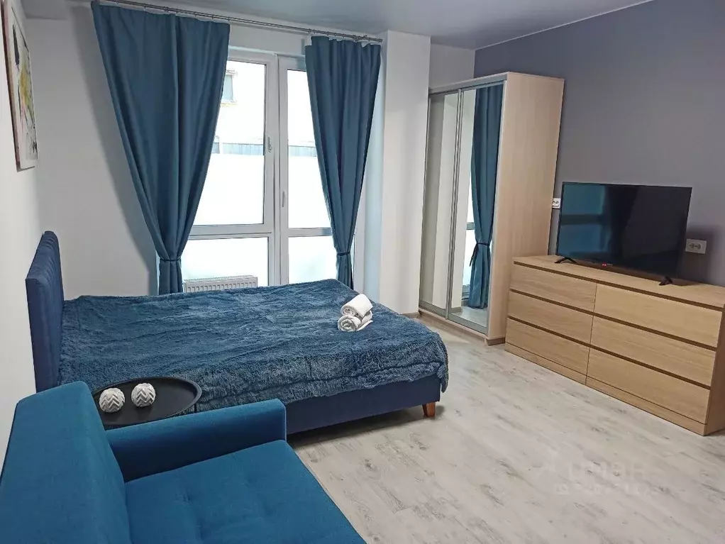 Студия Санкт-Петербург ул. Одоевского, 17 (29.5 м) - Фото 1