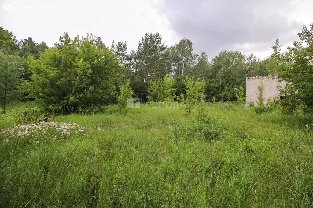 Участок в Борзовая Заимка, Майская улица (30 м) - Фото 1