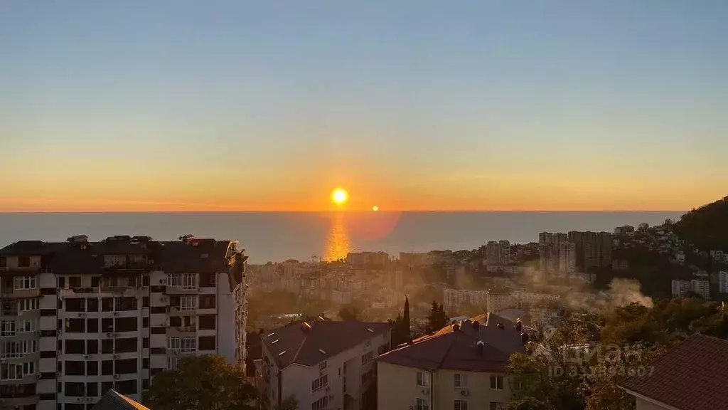 1-к кв. Краснодарский край, Сочи Целинная ул., 16Г (32.6 м) - Фото 2