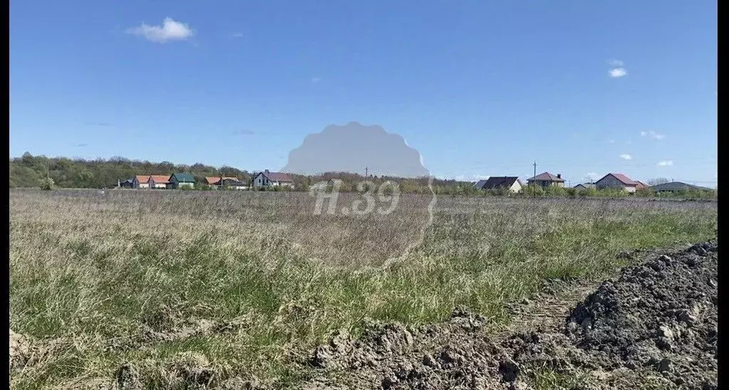 Участок в Калининградская область, Гурьевский муниципальный округ, ... - Фото 1