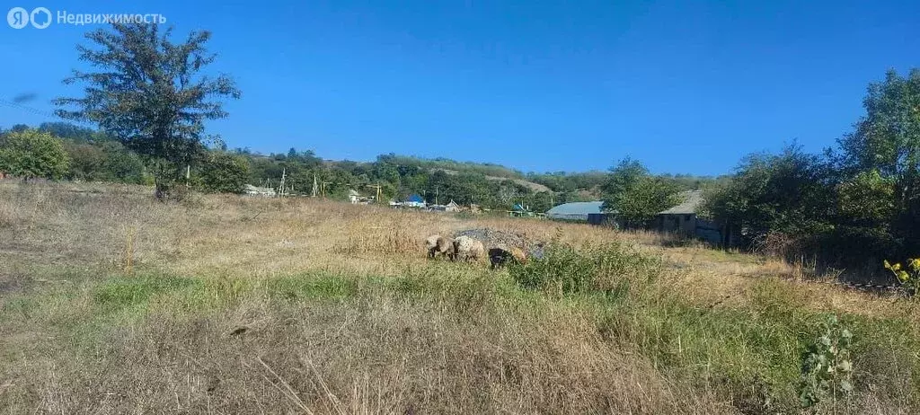 Участок в станица Владимирская, Телеграфная улица (20 м) - Фото 1