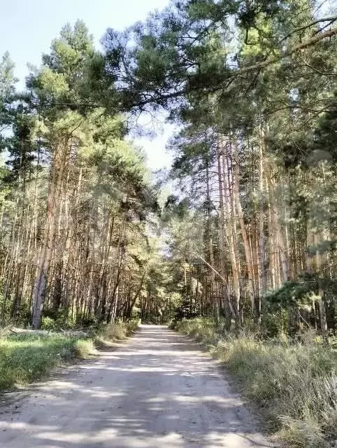 Участок 15 сот. (ИЖС) - Фото 1