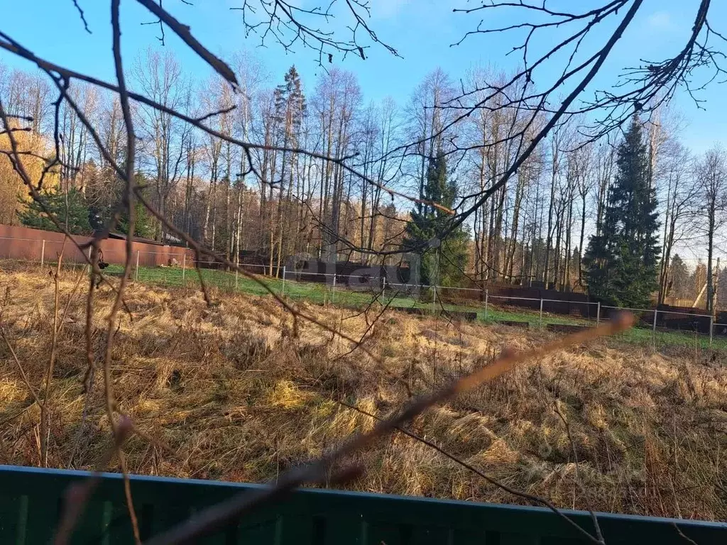 Участок в Московская область, Пушкинский городской округ, д. ... - Фото 1