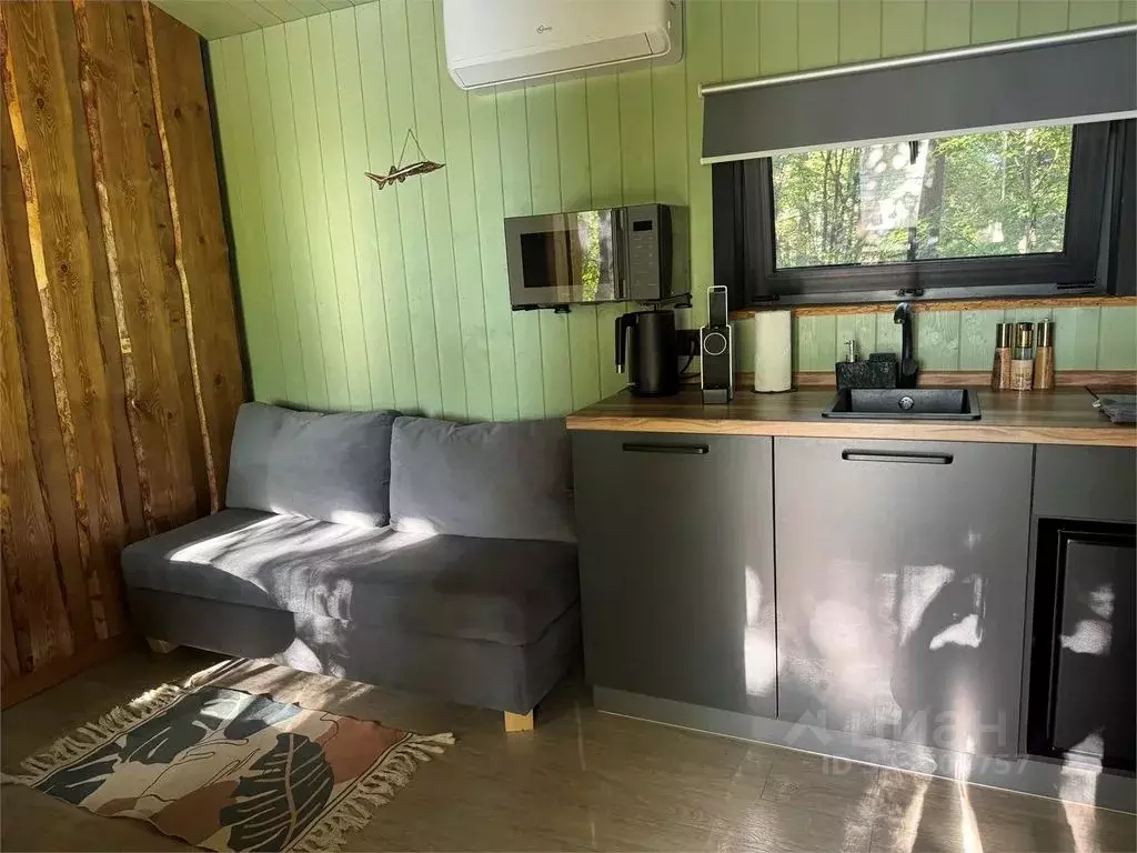 Дом в Нижегородская область, Бор  (25 м) - Фото 2