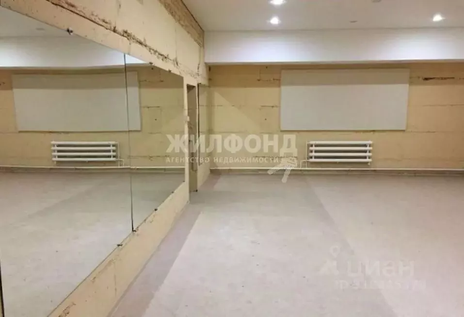 Помещение свободного назначения в Новосибирская область, Новосибирск ... - Фото 1