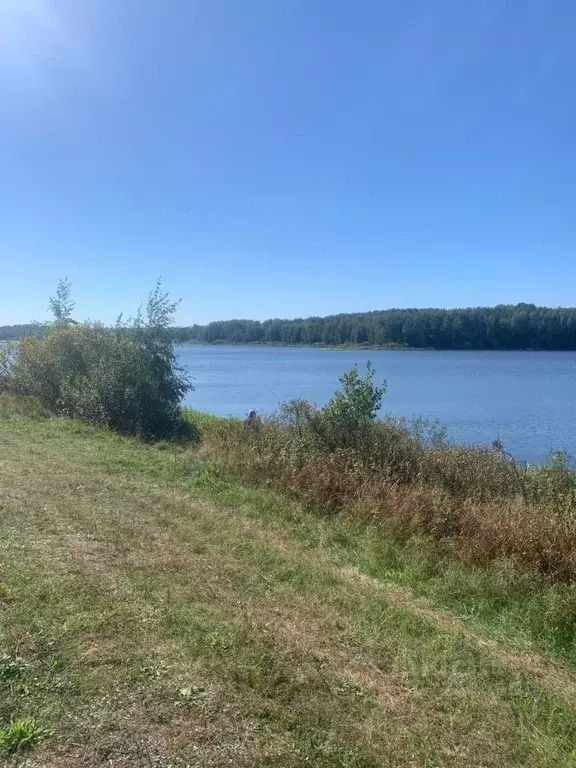 Участок в Тверская область, Селижаровский муниципальный округ, д. ... - Фото 0