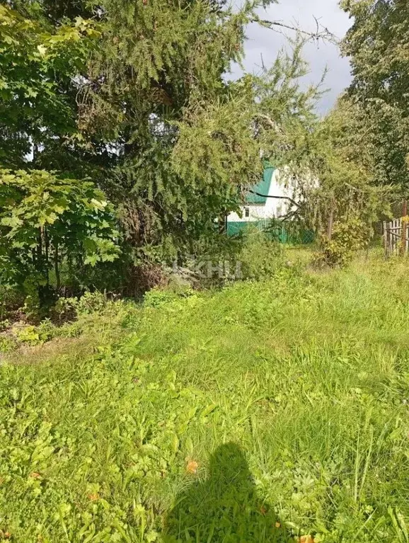Участок в Нижегородская область, Чкаловск муниципальный округ, д. ... - Фото 1