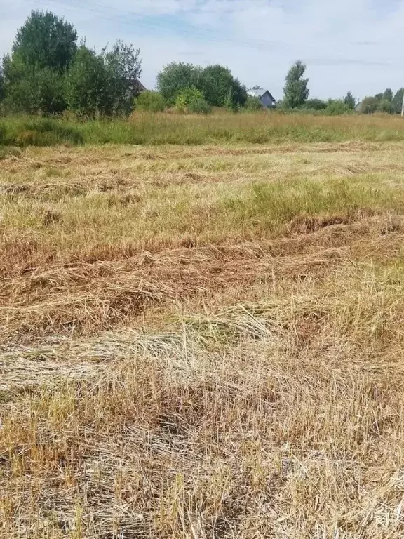 Участок в Вологодская область, Сокольский муниципальный округ, д. ... - Фото 1