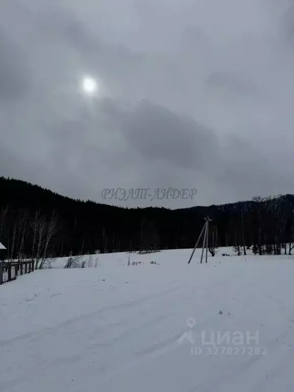 Участок в Алтай, Чемальский район, пос. Верх-Анос ул. Центральная ... - Фото 2