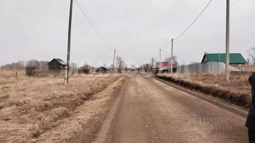 Участок в Новосибирская область, Коченевский район, д. Чик ул. ... - Фото 0