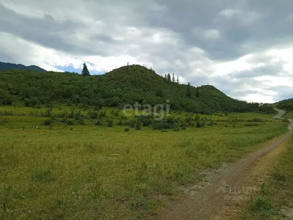 Участок в Алтай, Онгудайский район, с. Инегень  (1100.0 сот.) - Фото 0