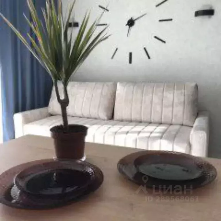 Студия Алтайский край, Барнаул тракт Павловский, 162 (35.0 м) - Фото 2