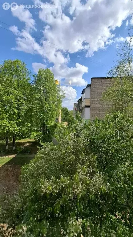 1-комнатная квартира: Кольчугино, улица 50 лет Октября, 11 (30.6 м) - Фото 0