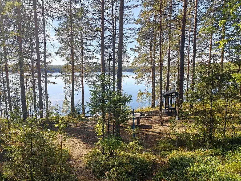 Участок в Карелия, Прионежский район, Нововилговское с/пос, Гильд СНТ ... - Фото 2