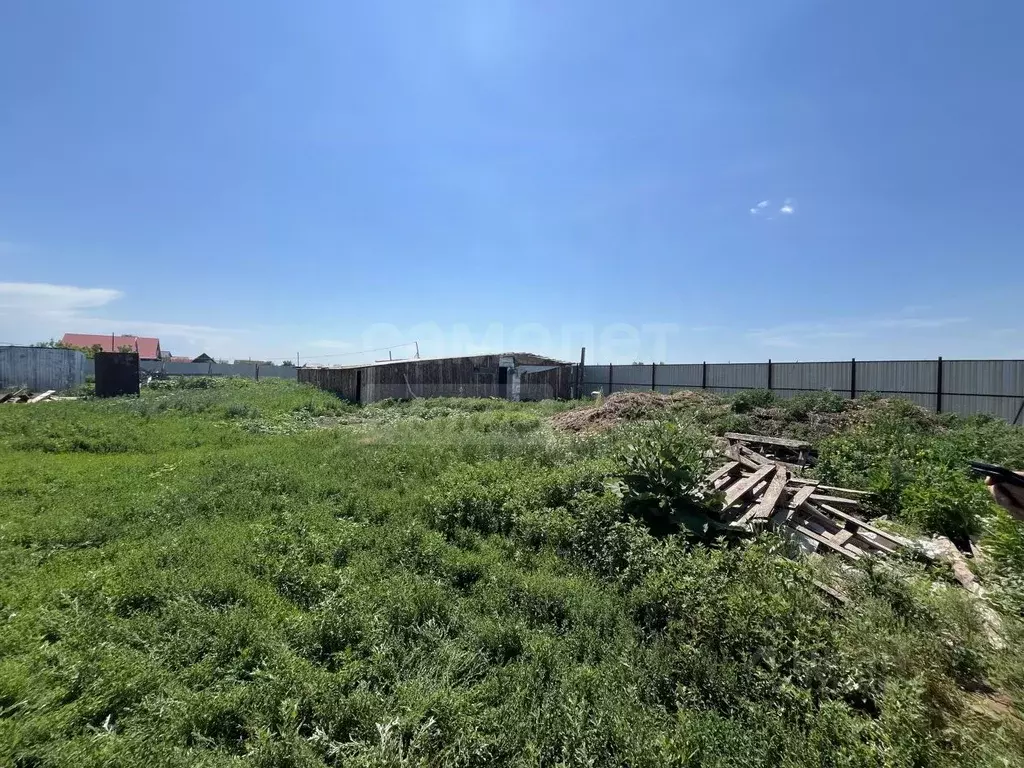 Участок в Оренбургская область, Саракташский район, Черкасский ... - Фото 1