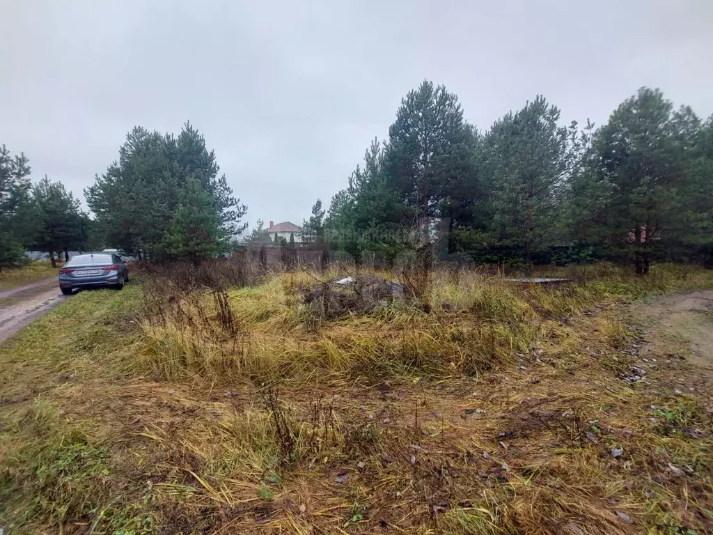 Участок в Калужская область, Жуковский муниципальный округ, Верховье ... - Фото 2