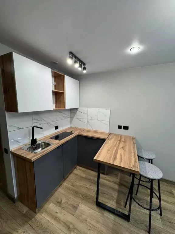 Студия Алтайский край, Барнаул ул. Петра Сухова, 9А/2 (18.0 м) - Фото 2