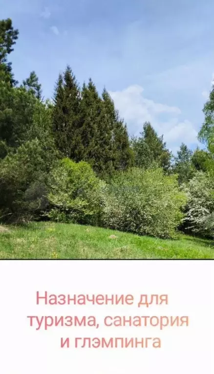 Участок в Нижегородская область, Сосновский муниципальный округ, д. ... - Фото 2