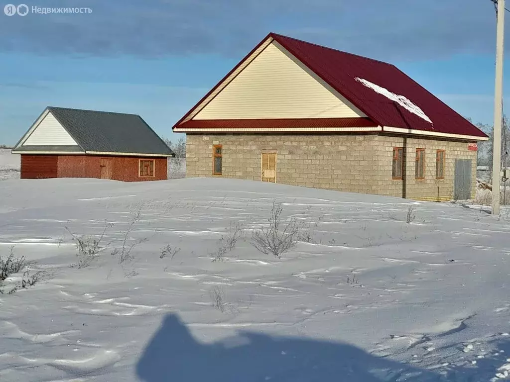 Дом в село Языково, улица Габдуллы Тукая, 75 (102.5 м) - Фото 0