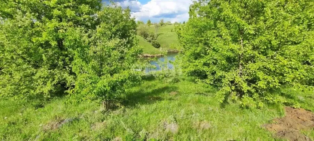 Участок в Воронежская область, Рамонский район, с. Русская Гвоздевка  ... - Фото 1