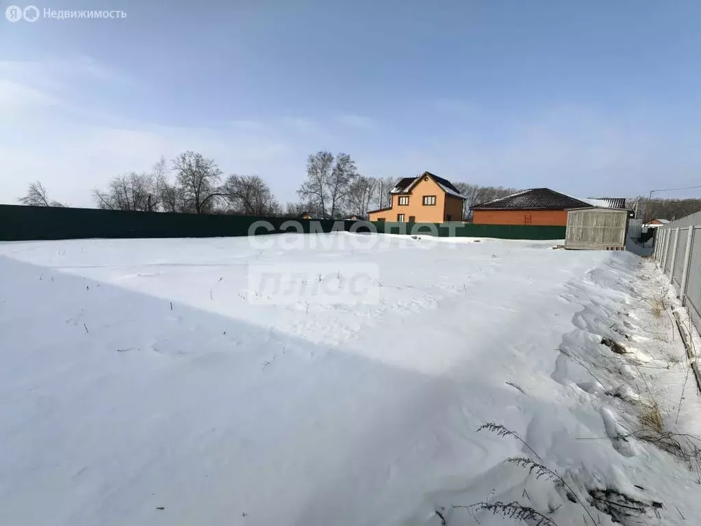 Участок в Новосибирский район, Морской сельсовет, село Ленинское (10 ... - Фото 2