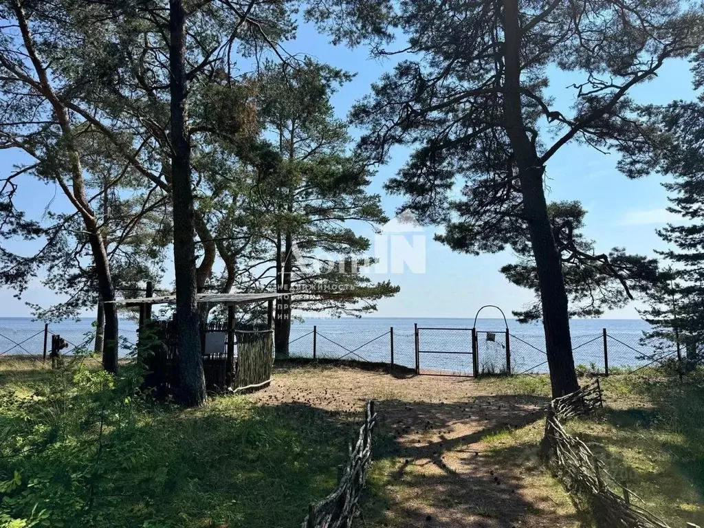 Участок в Санкт-Петербург пос. Смолячково, Приморское ш., 690 (10.3 ... - Фото 2