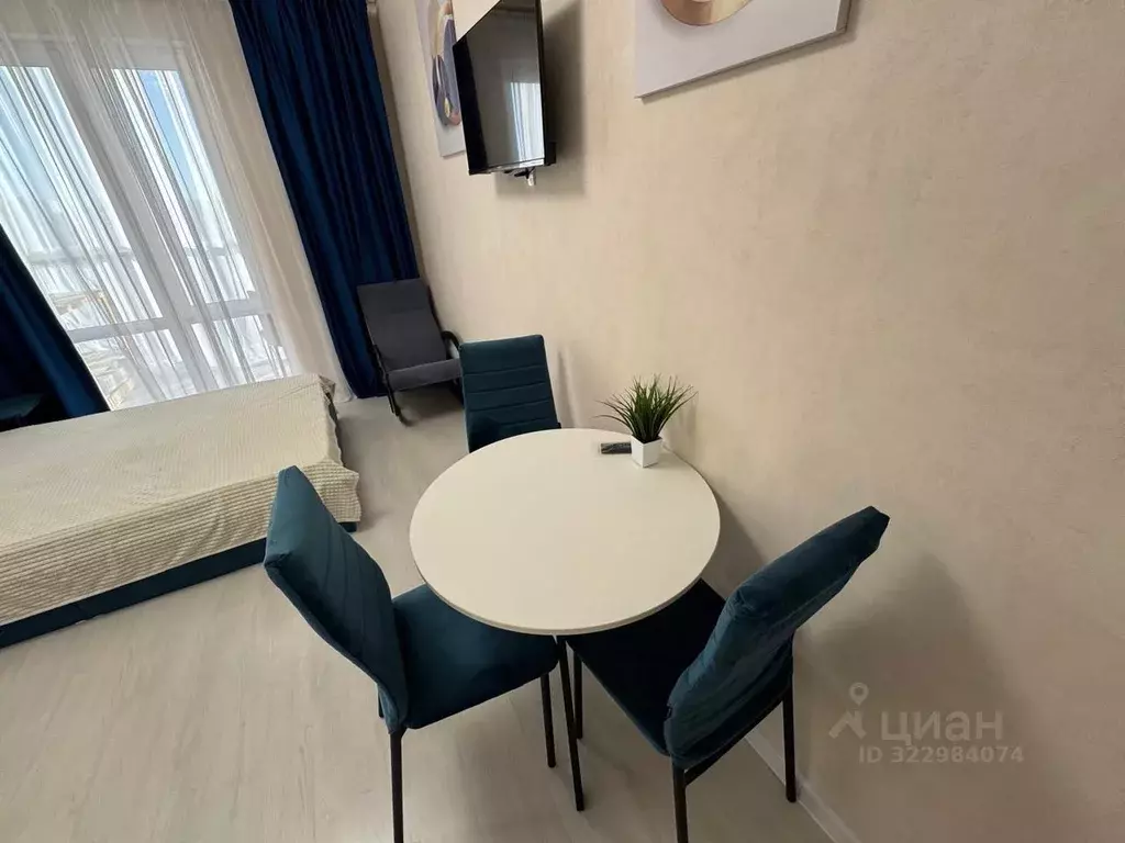 Студия Иркутская область, Иркутск Байкальская ул., 208 (21.0 м) - Фото 2