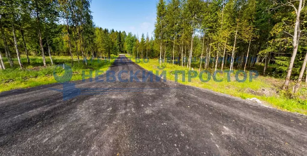 участок в ленинградская область, всеволожский район, лесколовское . - Фото 0