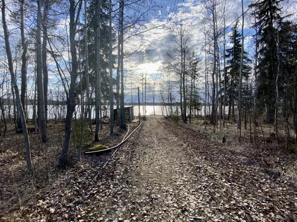 Дом в Карелия, Прионежский район, Шуйское с/пос, Просвещенец-1 СНТ ул. ... - Фото 2
