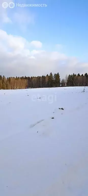 Участок в Пермский муниципальный округ, СНТ Залесная (7.2 м) - Фото 1