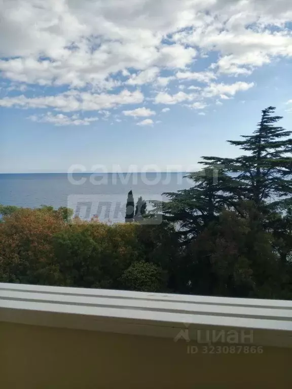 Студия Крым, Ялта муниципальный округ, Симеиз пгт ул. Владимира ... - Фото 2