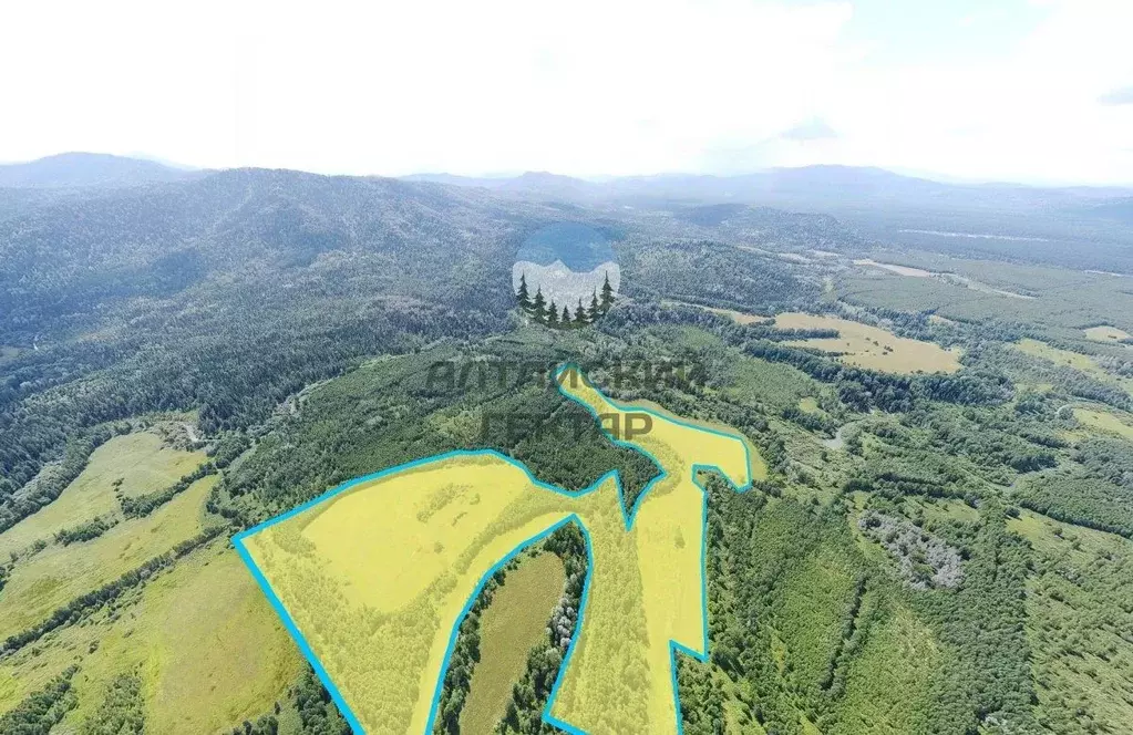 Участок в Алтай, Турочакский район, с. Тулой Строительная ул. (100.0 ... - Фото 1