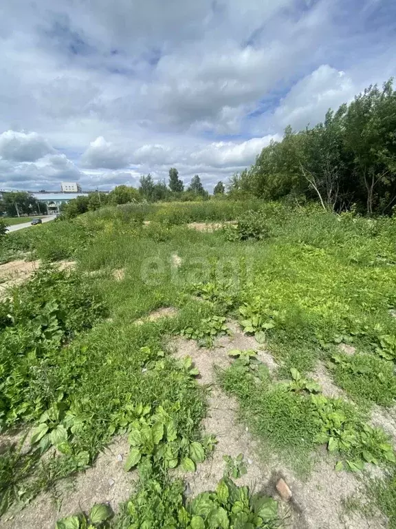 Участок в Кемеровская область, Топки  (36.5 сот.) - Фото 1