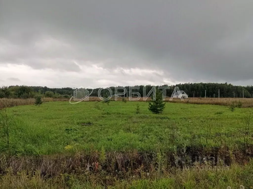 Участок в Тюменская область, Тюменский муниципальный округ, с. ... - Фото 1