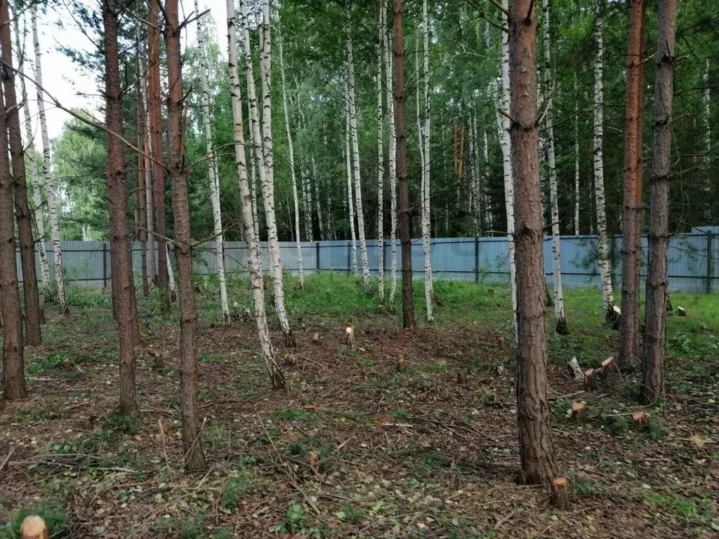 Участок в Свердловская область, Белоярский муниципальный округ, Мешков ... - Фото 2