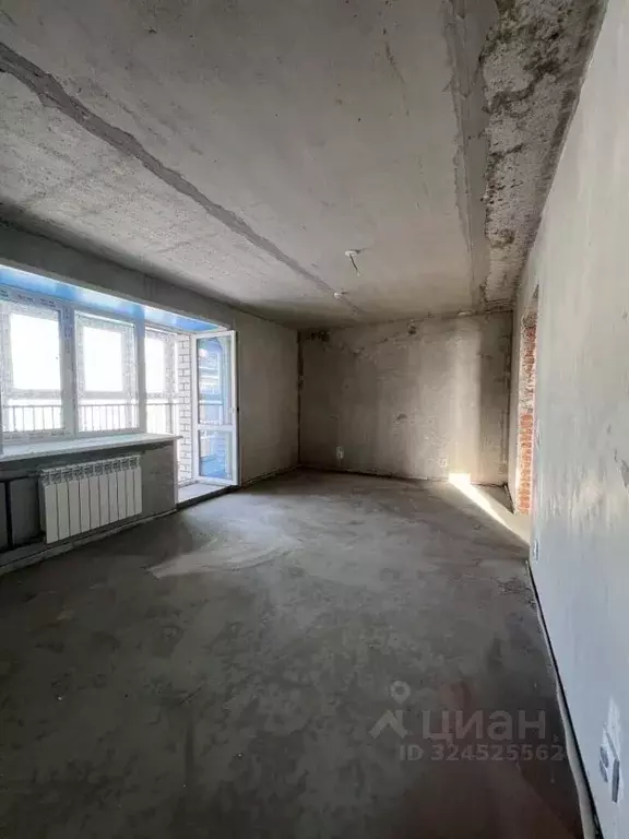 1-к кв. Амурская область, Благовещенский район, с. Чигири ул. ... - Фото 1