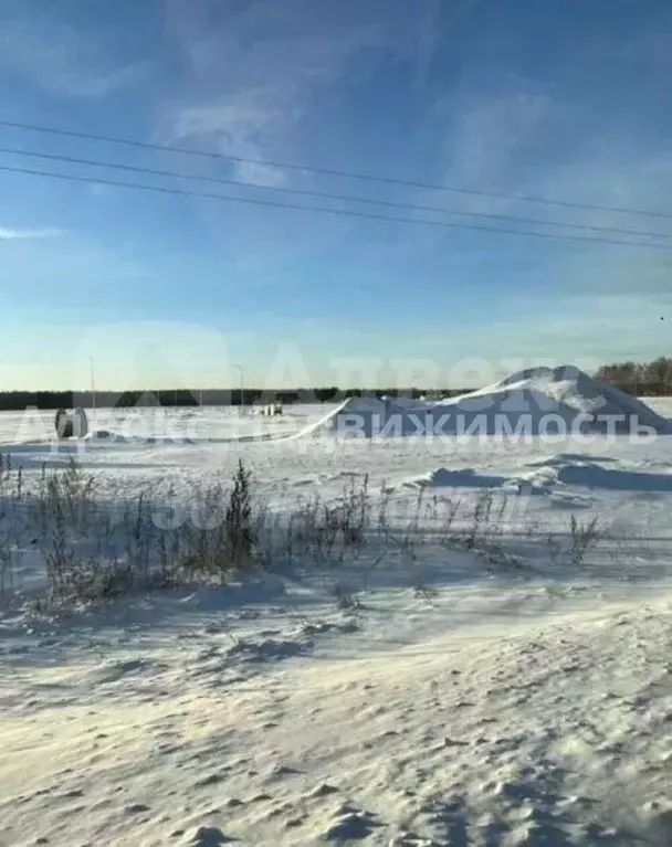 Участок в Тюменская область, Тюменский район, с. Каменка  (9.16 сот.) - Фото 2