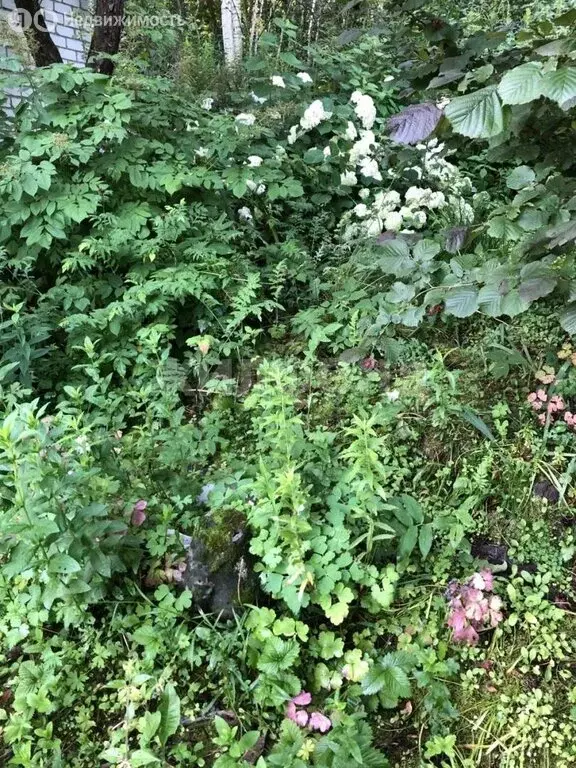 Участок в Чернетовское сельское поселение, СДТ Сад-8 Берёзка (3 м) - Фото 1