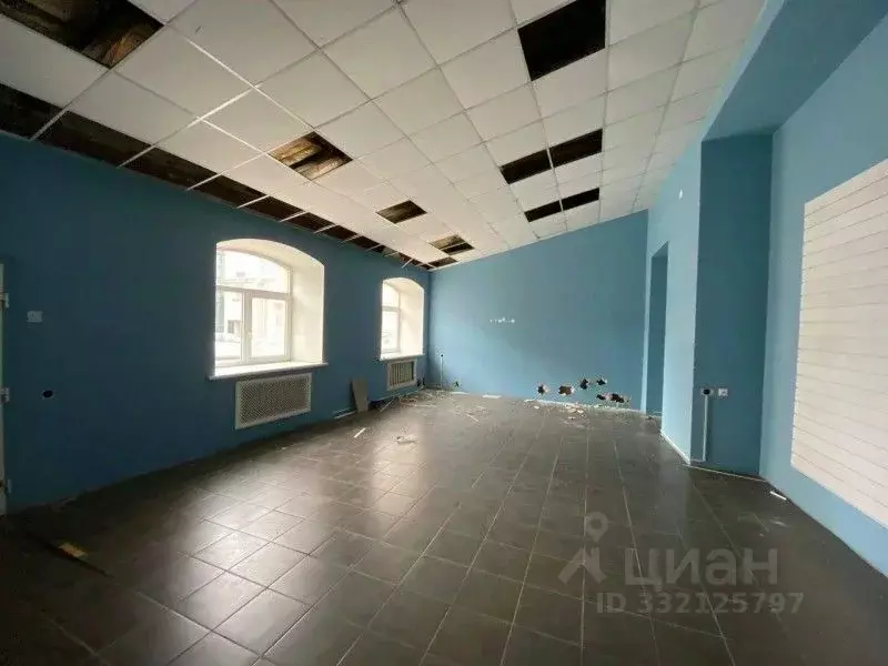 Помещение свободного назначения в Санкт-Петербург Звенигородская ул., ... - Фото 1