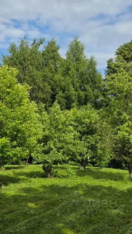 Дом в Чувашия, Моргаушский муниципальный округ, д. Шомиково  (66 м) - Фото 1